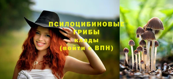 экстази Мегион