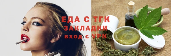 индика Медногорск