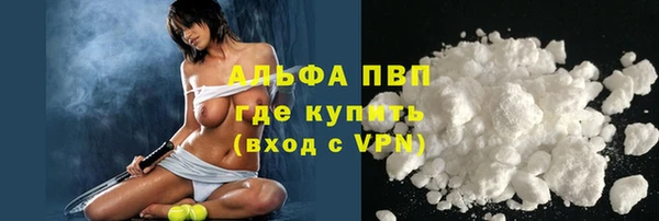 индика Медногорск