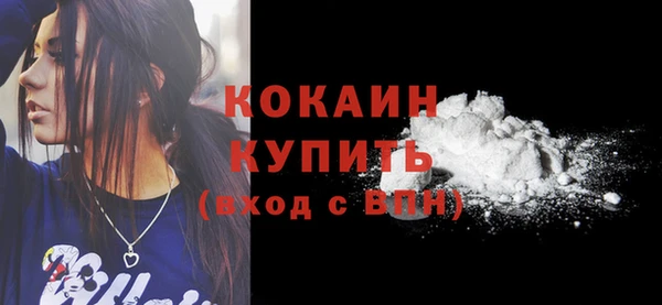индика Медногорск