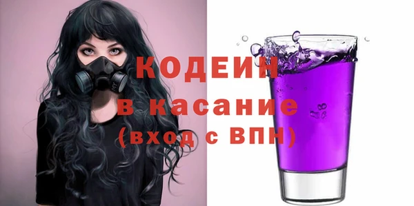 индика Медногорск