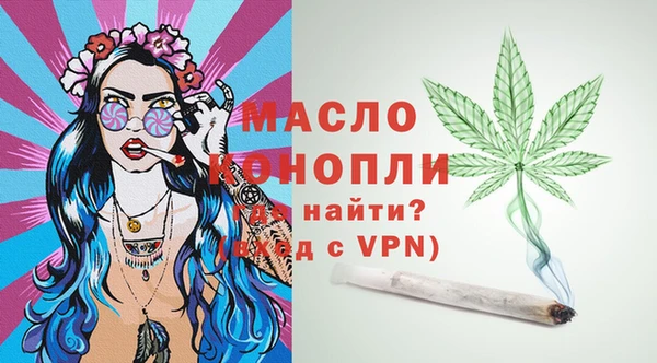 индика Медногорск
