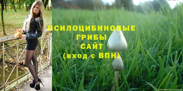 индика Медногорск