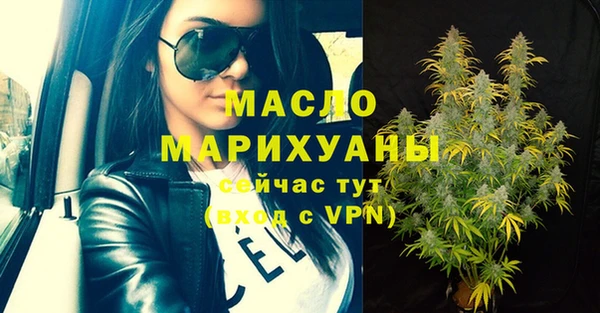 индика Медногорск