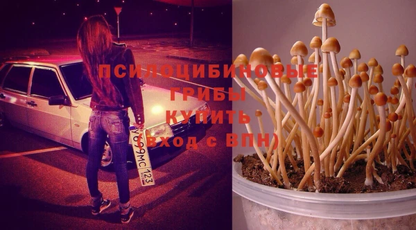 альфа пвп Медвежьегорск