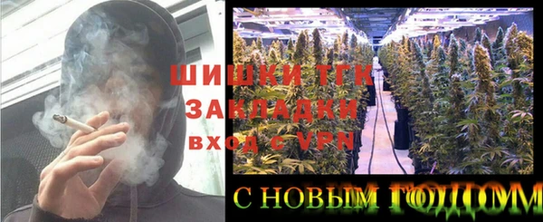 индика Медногорск