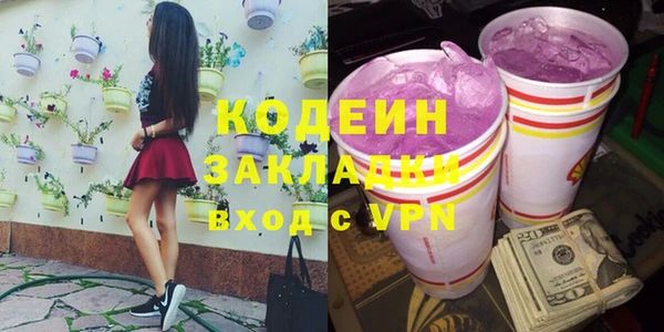 индика Медногорск