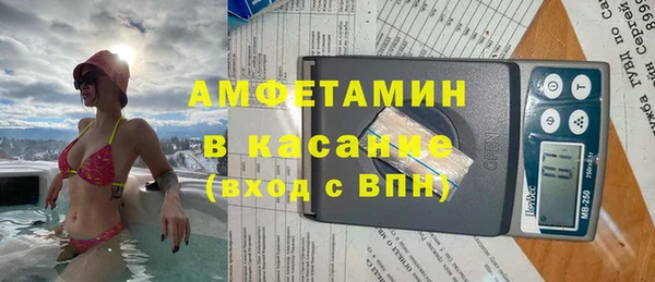 индика Медногорск