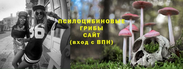 индика Медногорск