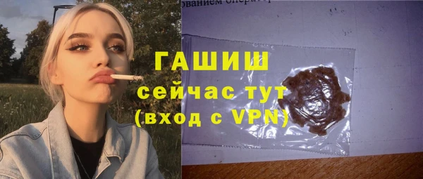 индика Медногорск