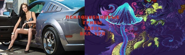 альфа пвп Медвежьегорск
