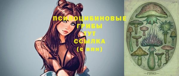 индика Медногорск
